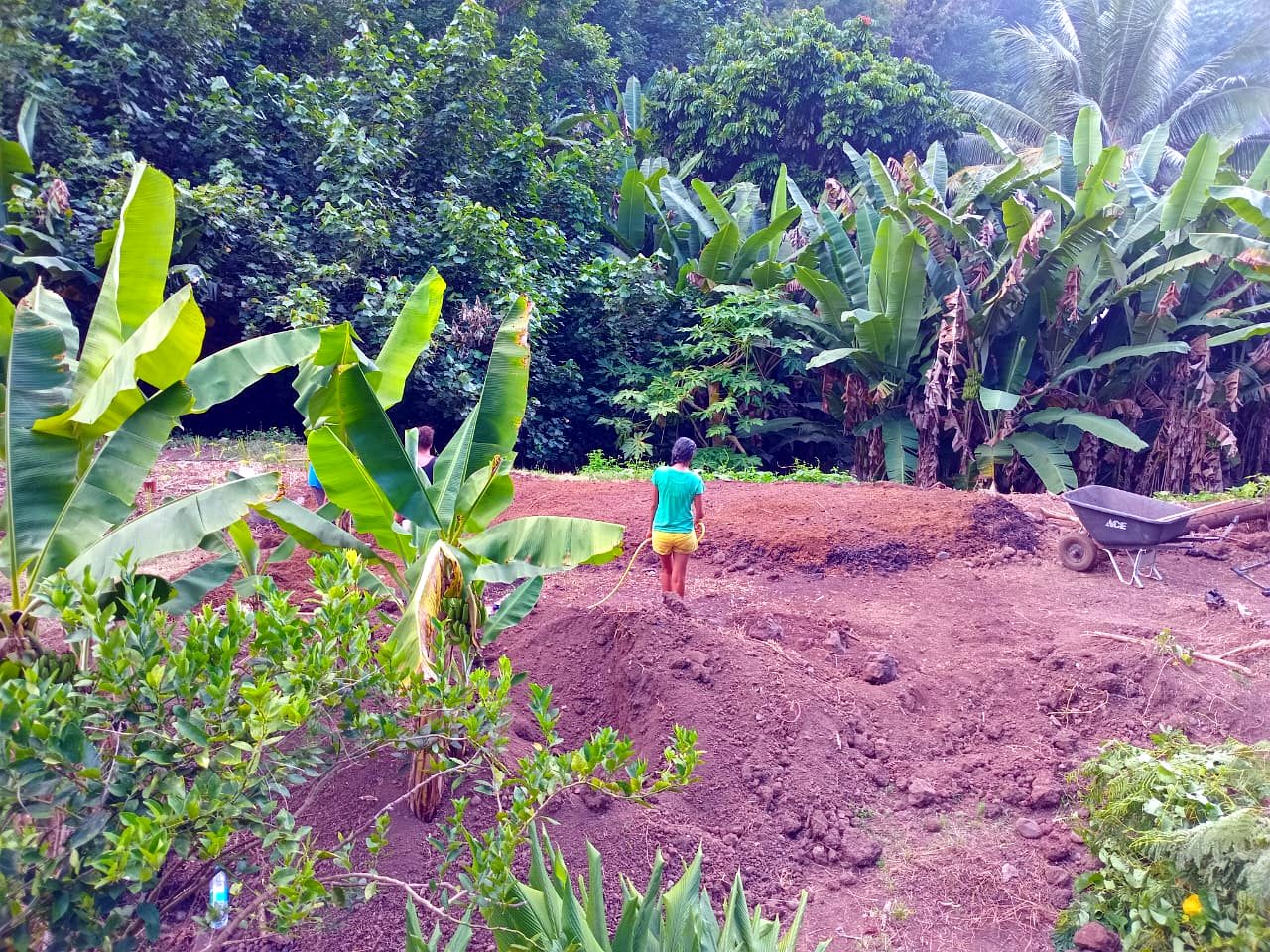 Grand potager préparé