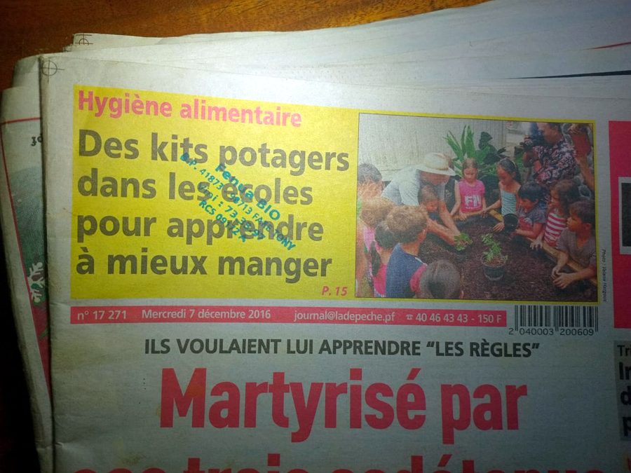 Article : des kits potagers dans les écoles pour apprendre à mieux manger