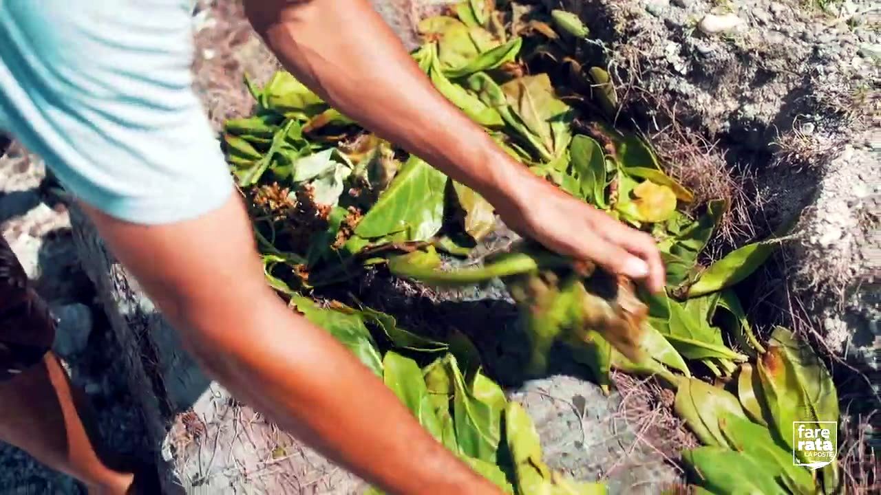 Préparation d'une butte avec des feuilles